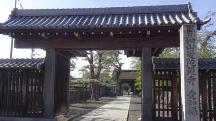 曼陀羅寺公園の藤