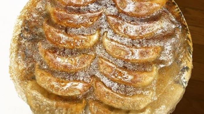 腹筋餃子を作ってみました♪