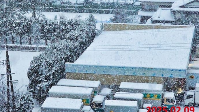 大雪の今朝の米子市内です 積雪21センチ 動画あり