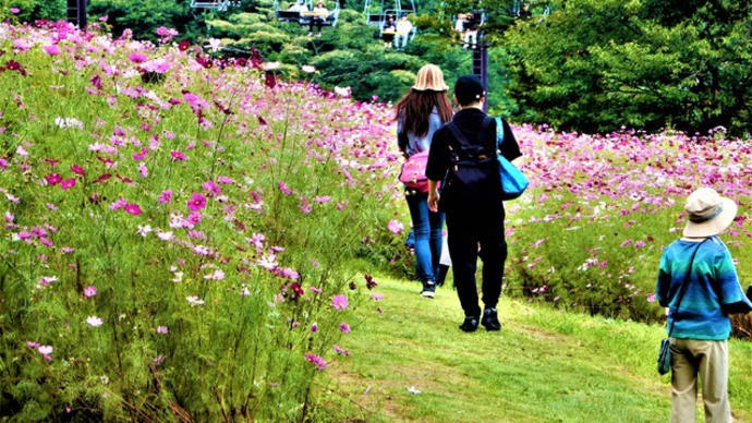 Gooブログ Goo Blog ハッシュタグ 黒姫高原コスモス園ダリア園