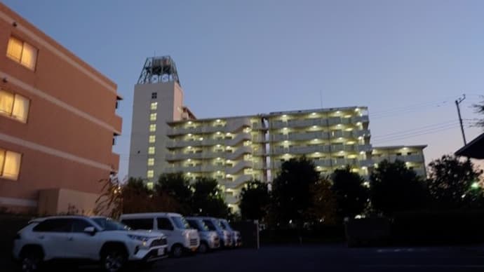 母はお相撲見てました