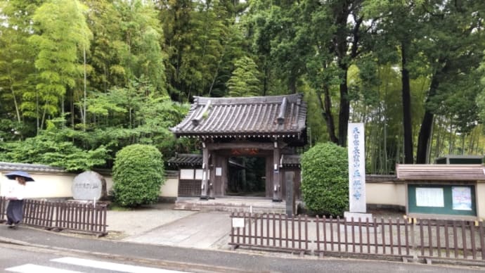 正覺寺のあじさい2024