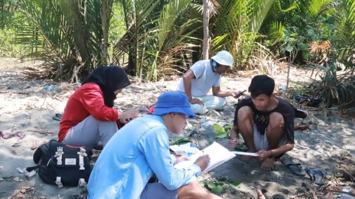 ロンボクでマングローブ林調査!? in Lombok