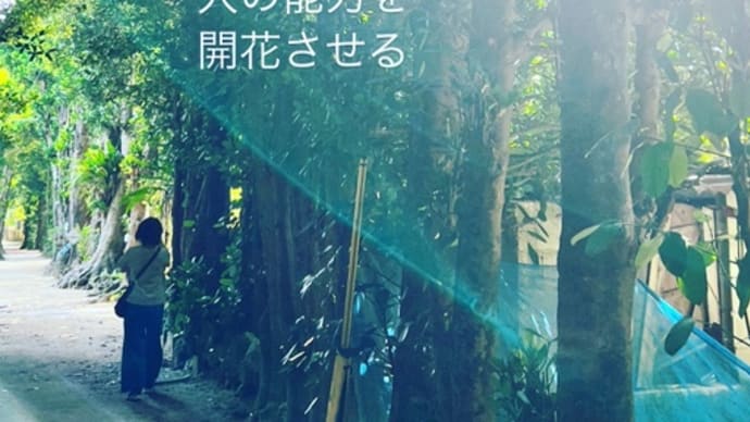 〜マヤ暦 K141 赤い龍・青い猿・音11〜 夏至の日に古宇利島へ