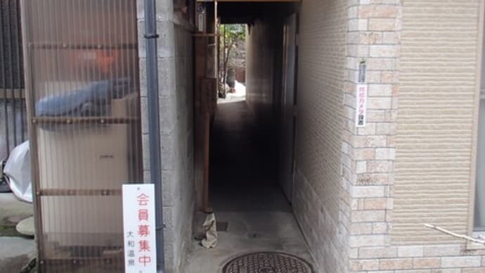 大和温泉に入る
