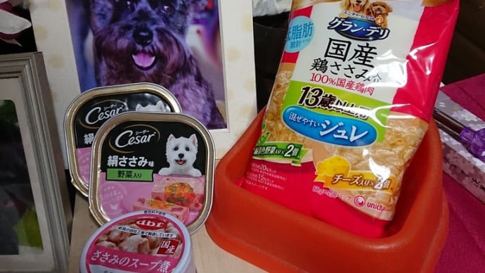1年が経ったわけで