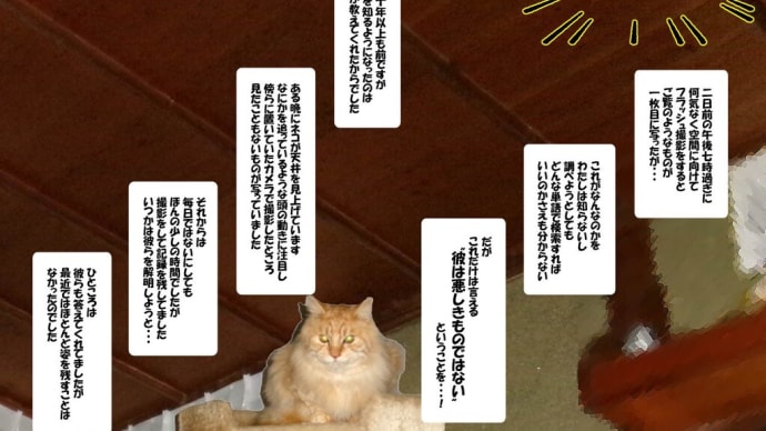 不可思議なるもの