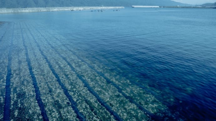 海へ