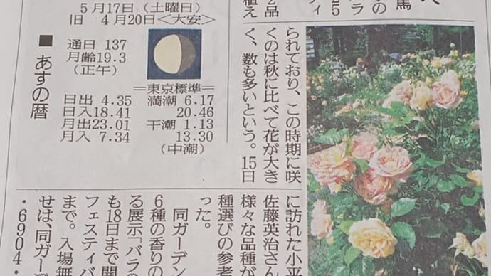お薦め散歩:光が丘ローズガーデン