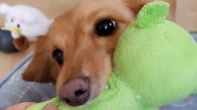 1ヶ月あっという間だね。