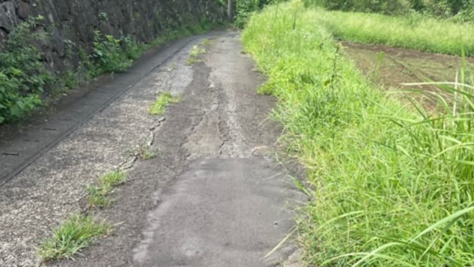 小山田緑地エリアの道路を補修
