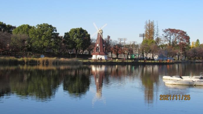 浮間公園の紅葉と・・・昨日の続きです