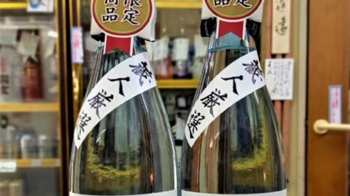 春の芋焼酎新酒入荷です!
