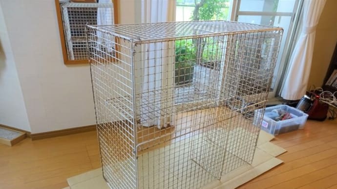 ワンコ🐕たちの「スチールネット」で。