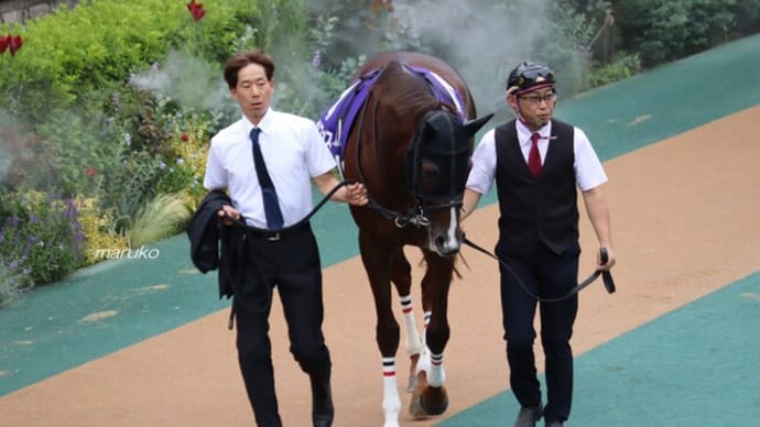 明日の競馬☆