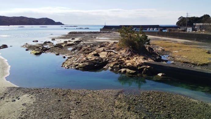 三崎川起点にて