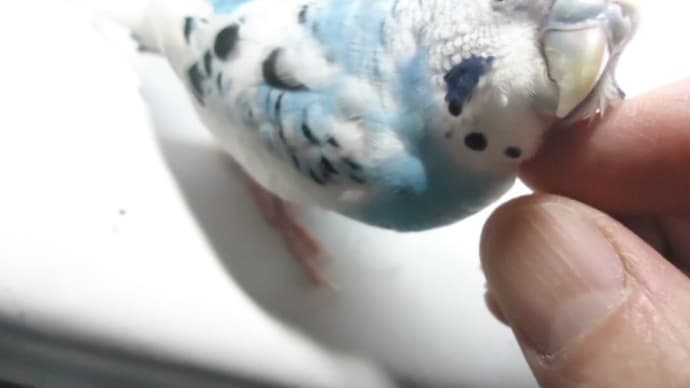 雪の季節