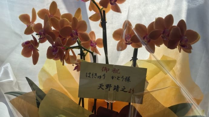 尚子先生が、明日開院されます(^^)