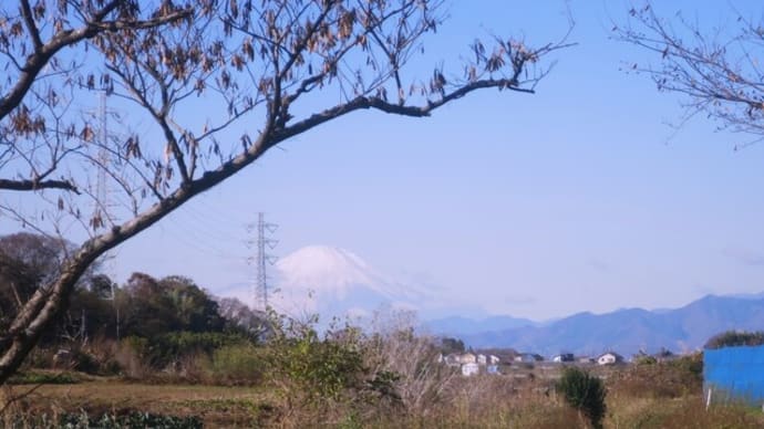 ぶらりJog~富士見ラン