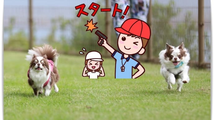 駿足のひみつと諦めないふしぎ(#^.^#)