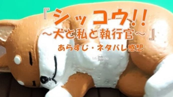 〖シッコウ!!~犬と私と執行官~〗1話~最終話あらすじネタバレ!伊藤沙莉を織田裕二アシスト