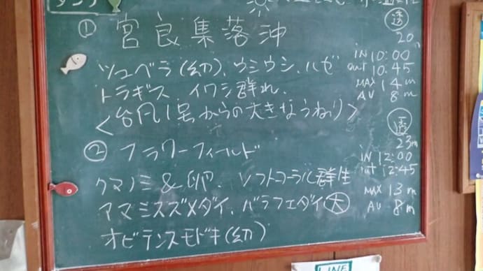 20220415ダイビングログ