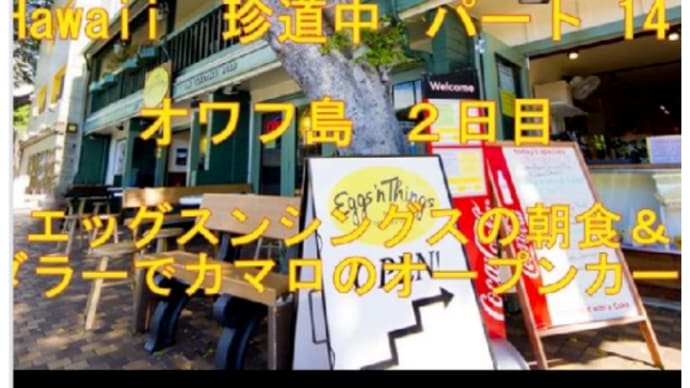 オワフ島ドライブ・エッグスシングスの朝食&ダラーの黄色いカマロ 🚙
