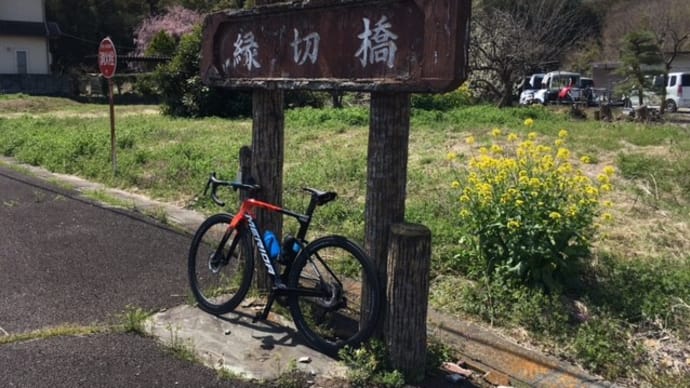 梅は咲いたか桜はまだかいなライド!?(Ⅱ)