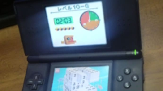 立体ピクロス