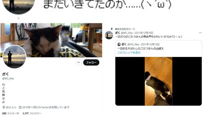 ドラマ 波よ聞いてくれ 小芝風花 平野綾 アニメ 動画 無料 BD DL 感想 まとめ 片寄涼太 原菜乃華 中村ゆりか 平野綾 西村瑞樹 (バイきんぐ) 井頭愛海 中川知香 北村一輝