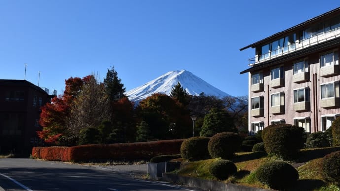 もみじ狩り 山梨県南都留郡富士河口湖町 富士パノラマロープウェイ(1)営業会開始15分前でこの長い列