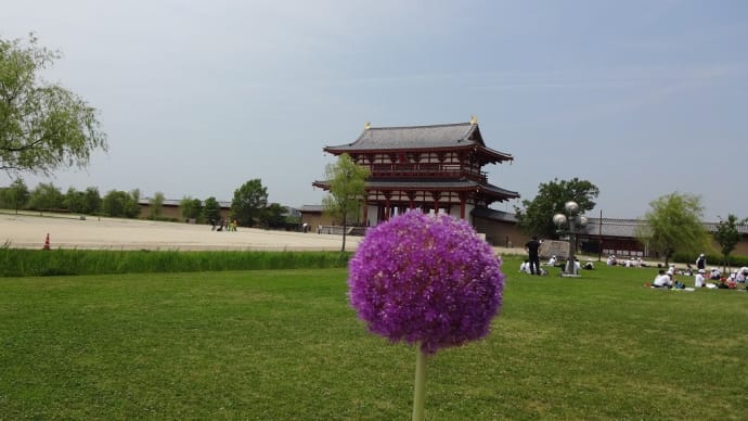 行きました。平城京跡