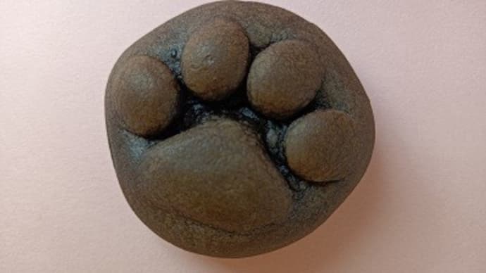 2024年の猫news⑭ カワユキ菓子 クロの「なごにゃん」