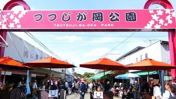 館林・つつじが岡公園へ行ってきました