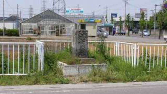 石橋供養塔とコイ