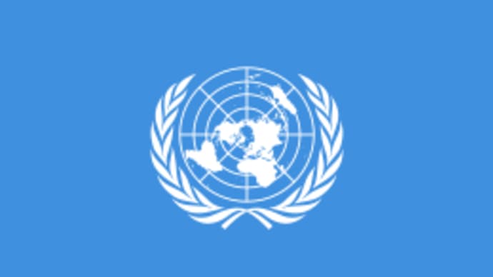 国際連合を問題視してみる 〔その2〕