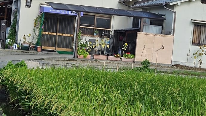 残暑🌞