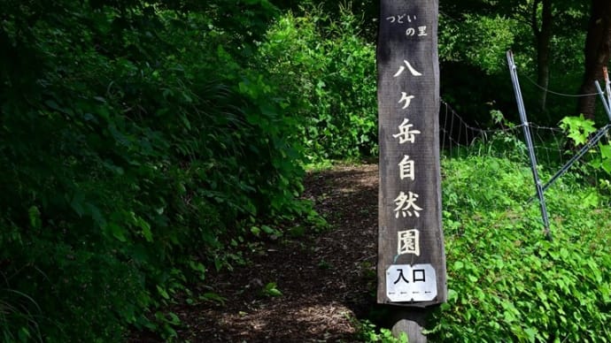 秋の八ヶ岳つどいの里