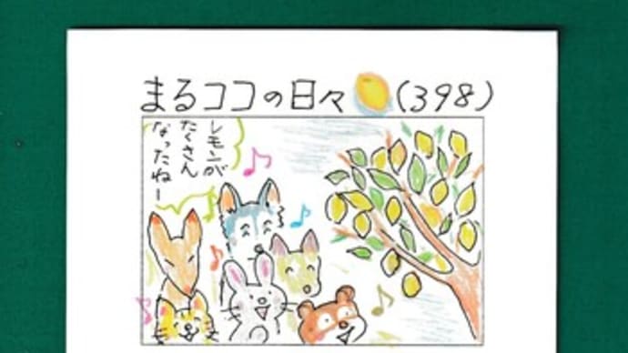 まるココの日々(398)