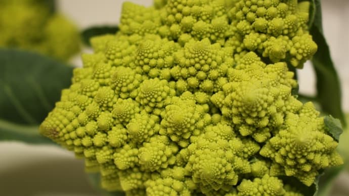 ロマネスコ(洋野菜)