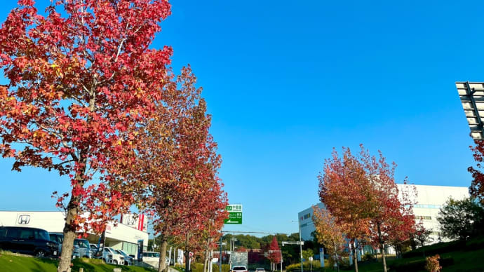 青空と紅葉