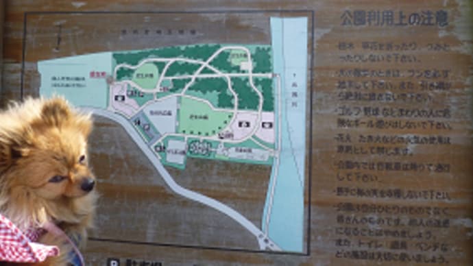 越谷梅林公園