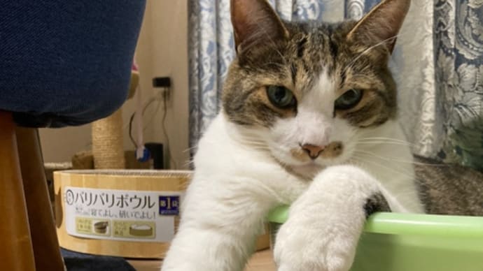 暑中お見舞い申し上げます