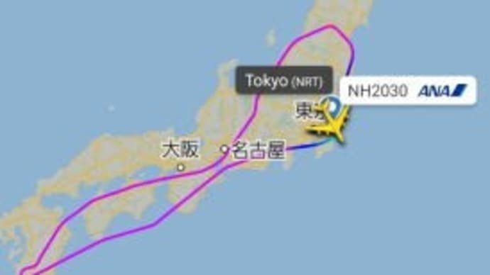 Re）ANA FLYING HONU kaiくん　チャーターフライト
