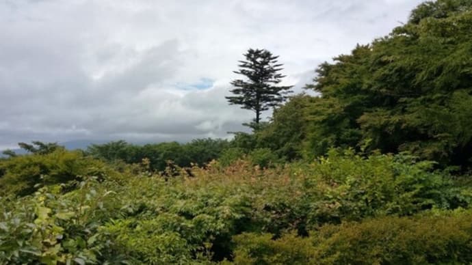 鬼押出し、白糸の滝、碓氷峠見晴台(2022年8月30日)