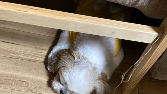 結局、遠出したよ。