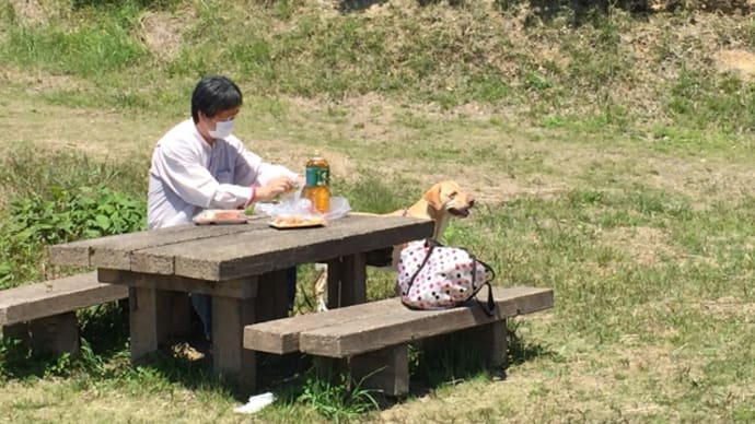 思い出の場所