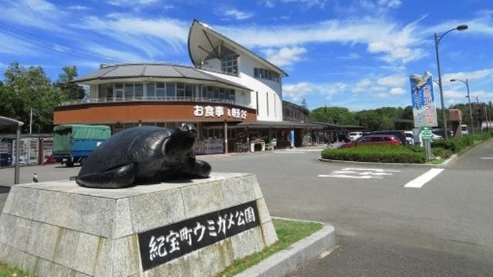 ウミガメ公園　【お気楽写真館95】