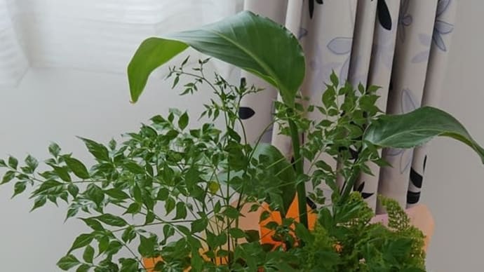 成長を実感。。。