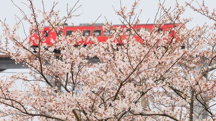 西京地所GW休業のお知らせ。
